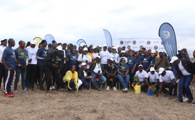 Environmental Sustainability Project – Tree Planting Initiative