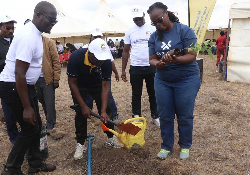 Environmental Sustainability Project – Tree Planting Initiative