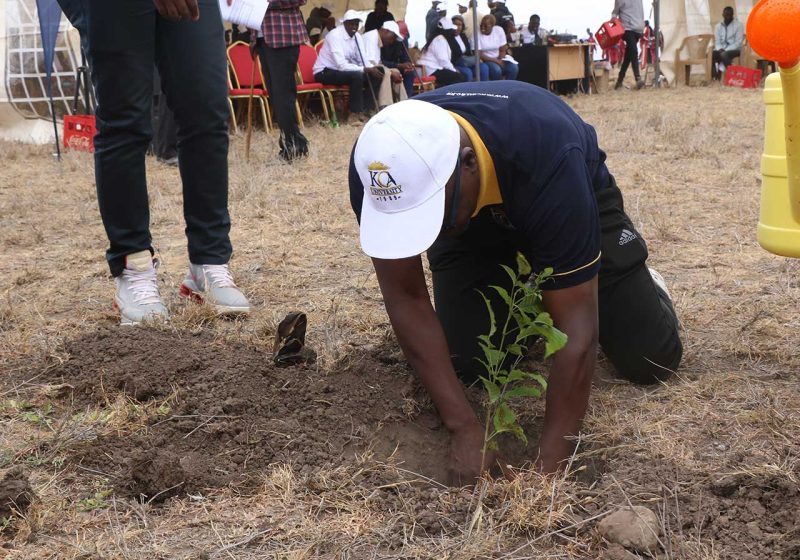 Environmental Sustainability Project – Tree Planting Initiative